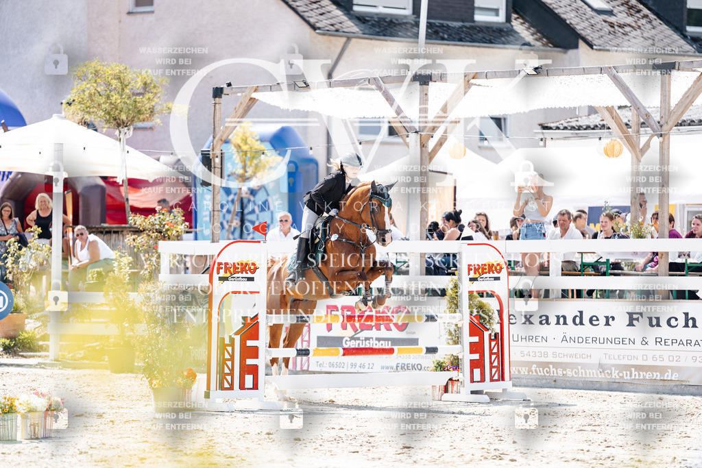 CK909373 | Turnierfotografie Pferdefotografie Trier Rheinland-Pfalz Pferdesport Reitsport Tierfotografie Sportfotografie Pferdevideo Pferdevideografie Equestrianvideography equestrianphotography  - Realisiert mit Pictrs.com