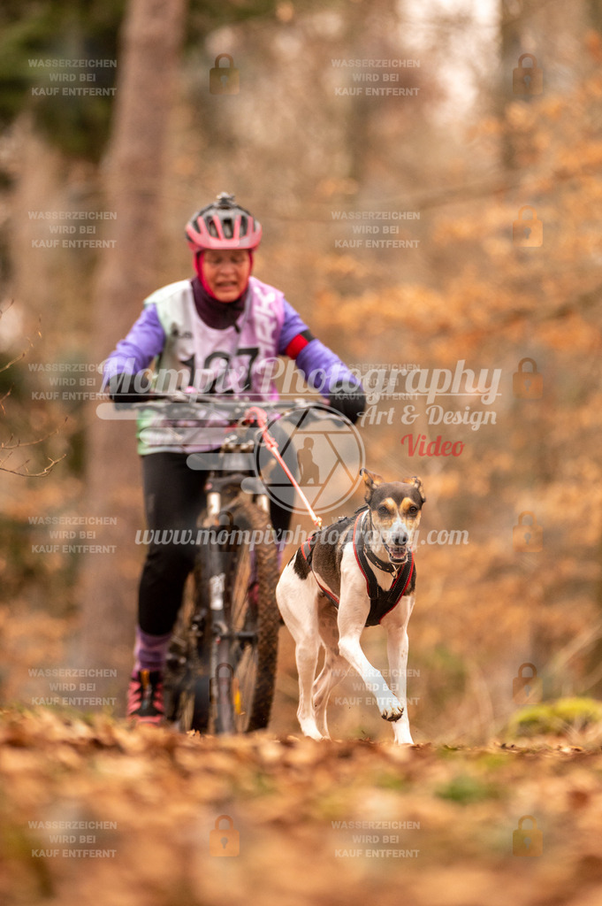 AKM_ST_2023_SAM_Bike-167 | PayLife