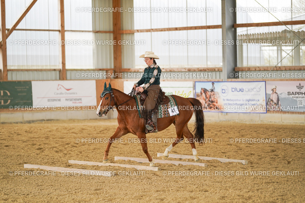 DSC03792 | Pferdegrafie