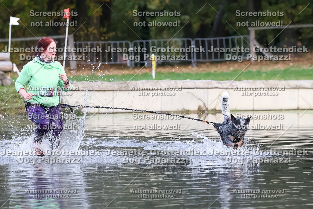 Dog Paparazzi - Strongdog 10-25-6378 | Dog Paparazzi Jeanette Grottendiek Fotografie & Videografie - Realisiert mit Pictrs.com