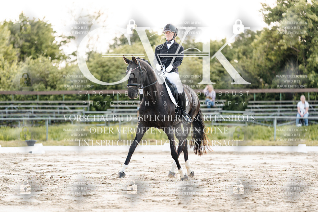 CK909377 | Turnierfotografie Pferdefotografie Trier Rheinland-Pfalz Pferdesport Reitsport Tierfotografie Sportfotografie Pferdevideo Pferdevideografie Equestrianvideography equestrianphotography  - Realisiert mit Pictrs.com