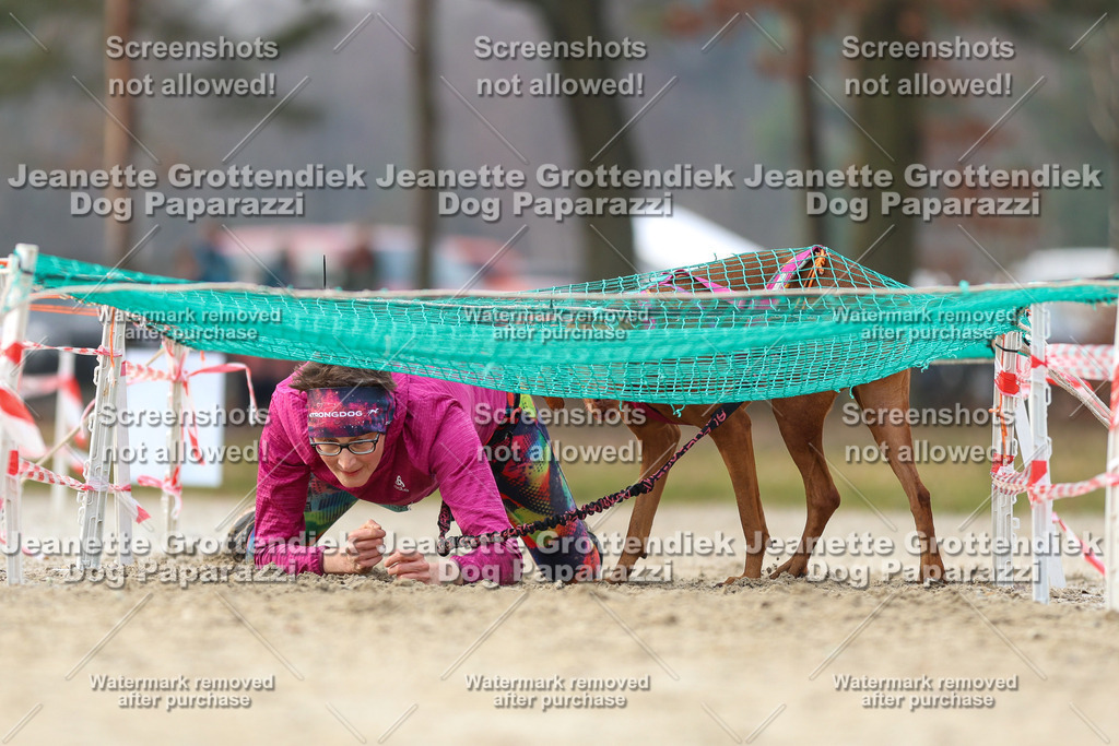 Dog Paparazzi - Strongdog North Mrz26-4312 | Dog Paparazzi Jeanette Grottendiek Fotografie & Videografie - Realisiert mit Pictrs.com