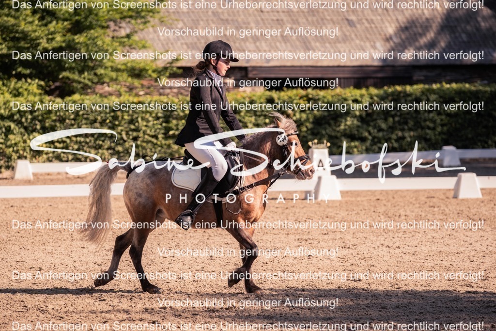 2025_05_31_DSCF2869 | People- und Tierfotografie, Imageaufnahmen, Veranstaltungsfotografie und Wandbilder aus der Natur ★ Made in Germany ✔️ Druck + Downloads ✔️ Naturfotografie in Top Qualität ★ schneller Versand, weltweite Lieferung! - Realisiert mit Pictrs.com