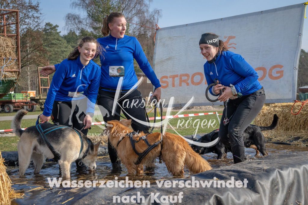 _ZZ90119 | kk-dogfotos