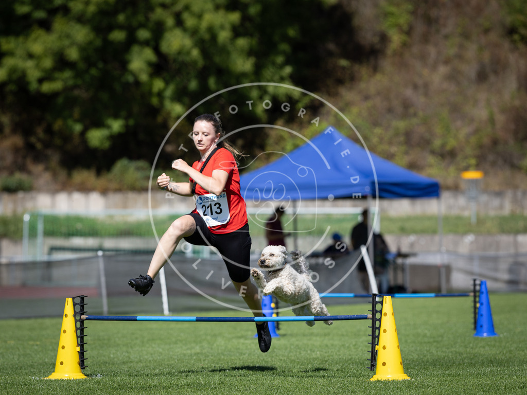 Pfotenfotografie_DV3A5223 | Hundefotografie, Tierfotograf, Pfotenfotografie, Fotoshooting Hund, Hunde Portrait, Hundesport, Hundeportraits, Heideshooting, Hunde, Sportfotograf, Hundefotograf, Turnierhundsport, THS,  - Realisiert mit Pictrs.com