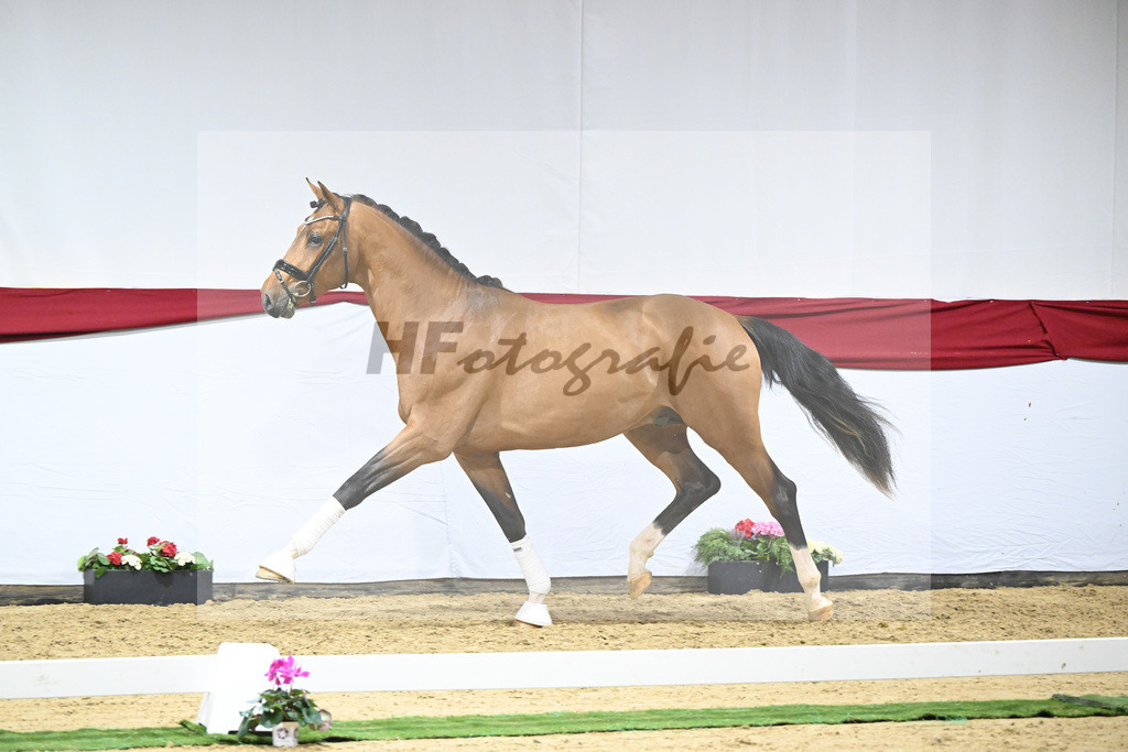 Kat-Nr. 54 v. Vaderland_Rakelbusch_63221572 | hf-fotografie - Realizzato con Pictrs.com