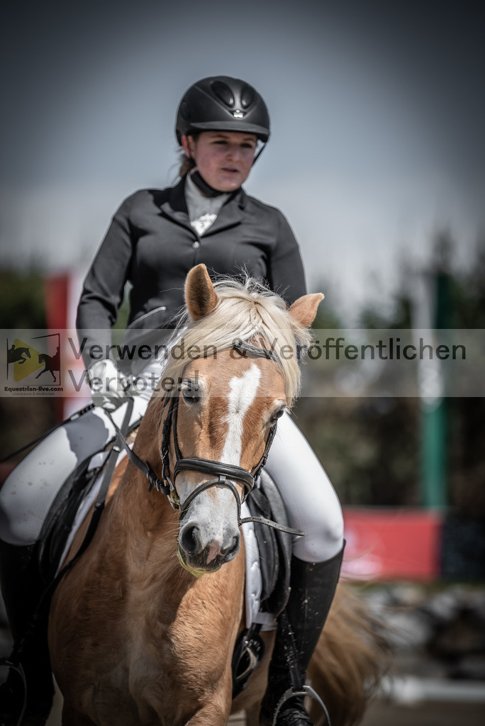 DSC_0724 | equestrian-live-com