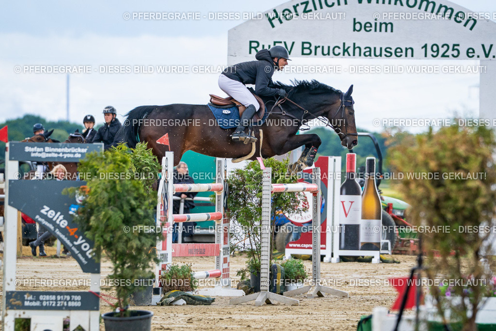 DSC05409 | Pferdegrafie