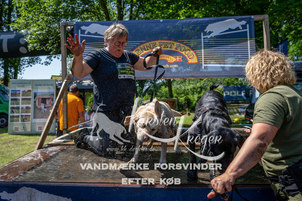 1225_ZZ91170 | kk-dogfotos