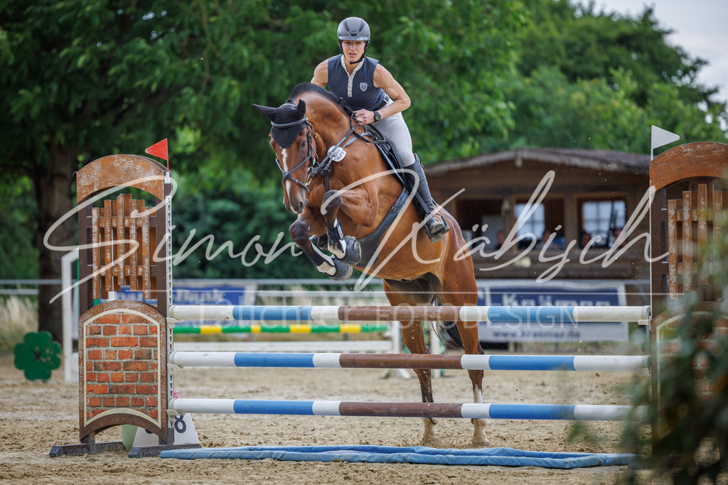 20260705-_3LI5924 | Tierfotografie Pferde, Hunde, Katzen, Haustiere.
Turnierfotografie Reitturniere, Reiten, Springreiten, Dressur in Hanau, dem Main-Kinzig-Kreis und dem Rhein-Main- Gebiet um Frankfurt