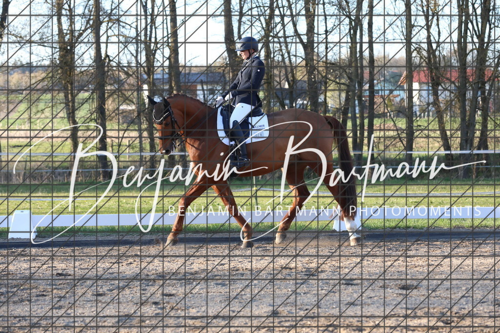 AZ2A7037 | Benjamin Bartmann Photomoments