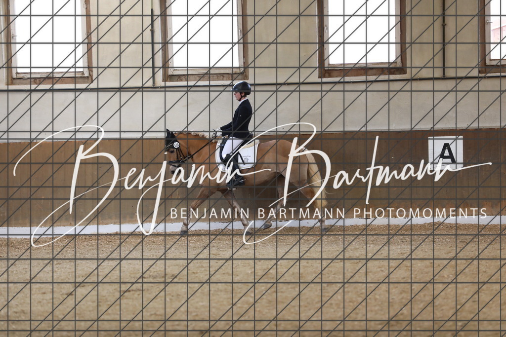 AZ2A8053 | Benjamin Bartmann Photomoments