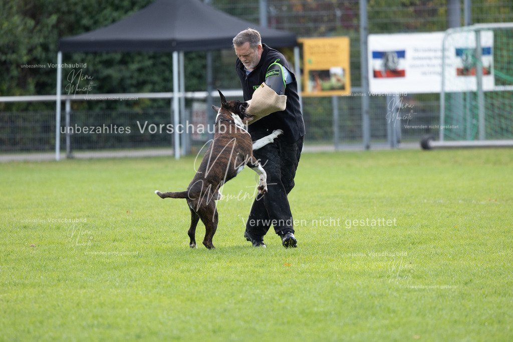 _16A6542 | Einzigartige Fotos von Hunden & Menschen –Actionfotos, Portraits, Vereinsaufnahmen & Paarshootings – authentisch, lebendig & mit Herz.