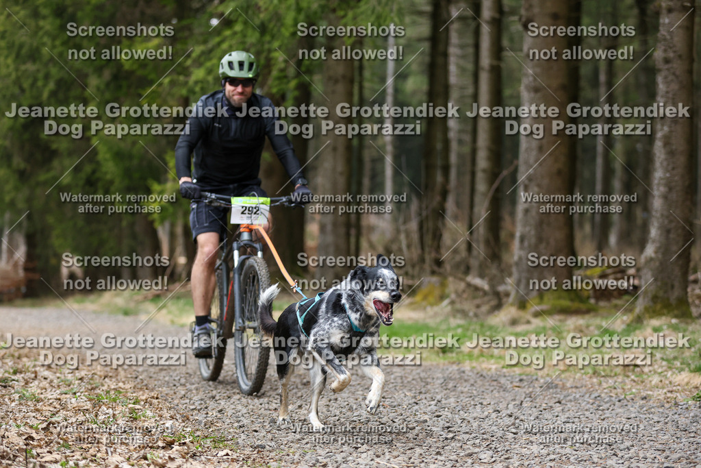 Dog Paparazzi - VCC26-547 | Dog Paparazzi Jeanette Grottendiek Fotografie & Videografie - Realisiert mit Pictrs.com