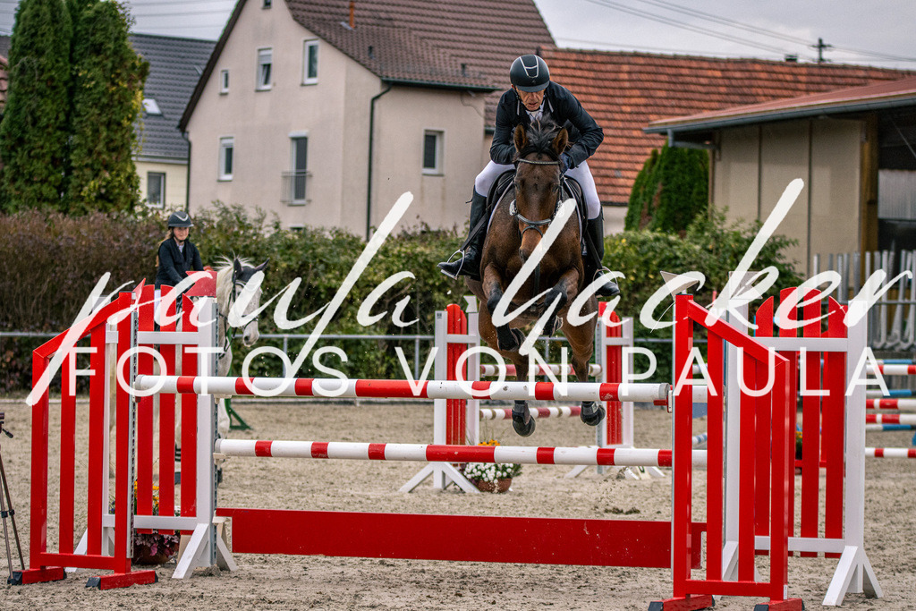IMG_6147 | Erleben Sie dynamische Sport- und emotionale Tierfotografie in Süddeutschland mit Fotos von Paula. Spezialisiert auf Pferde- und Hundefotografie sowie Sportevents. Kontaktieren Sie mich für einzigartige und ausdrucksstarke Bilder Ihrer besonderen Momente. - Realisiert mit Pictrs.com