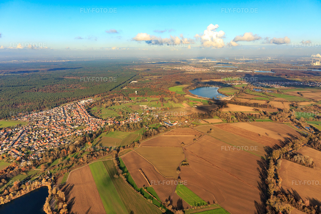 Luftbild: Dorfansicht von Süden am Rand des Bienwalds in Berg im Bundesland Rheinland-Pfalz in Deutschland. Foto: IMG_119858.jpg vom 30.11.2019 durch Werner Riehm/FLY-FOTO.de