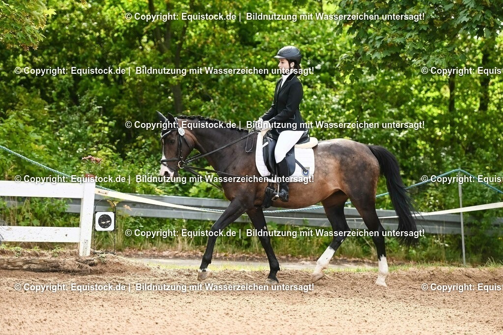 20230716_10-1_Reiter-WB Schritt - Trab - Galopp_0055 | equistock