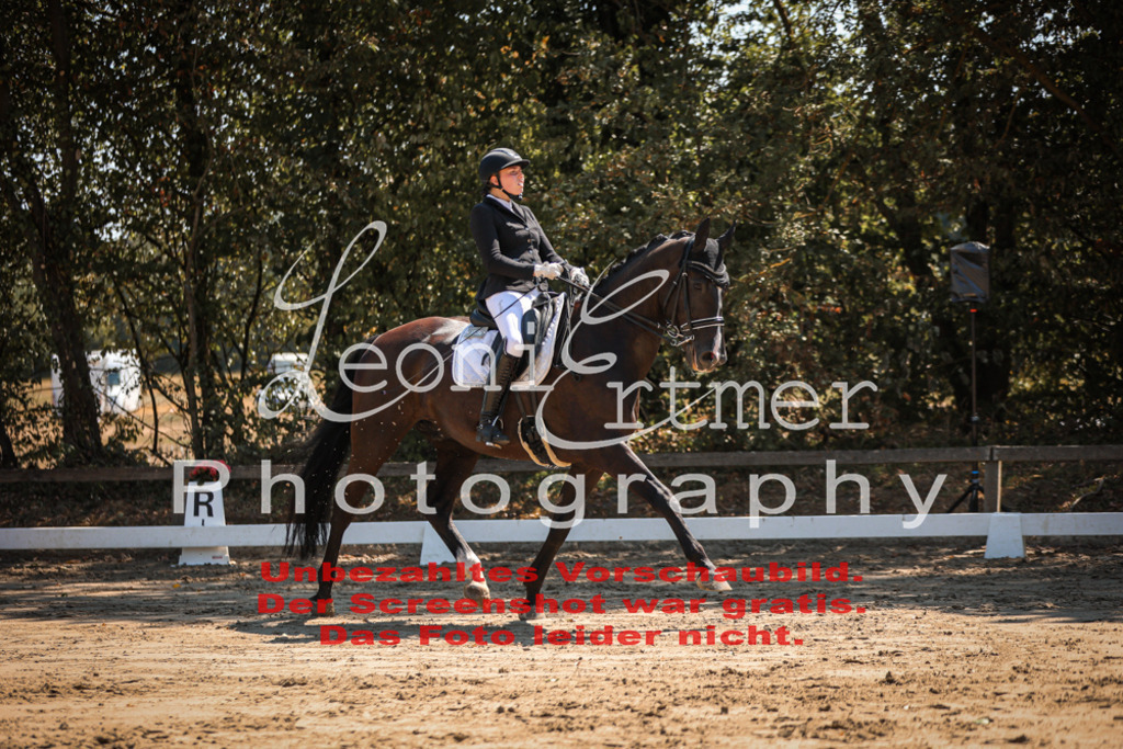 06.SoDrM00164 | Leoni Ertmer Photography - Realisiert mit Pictrs.com