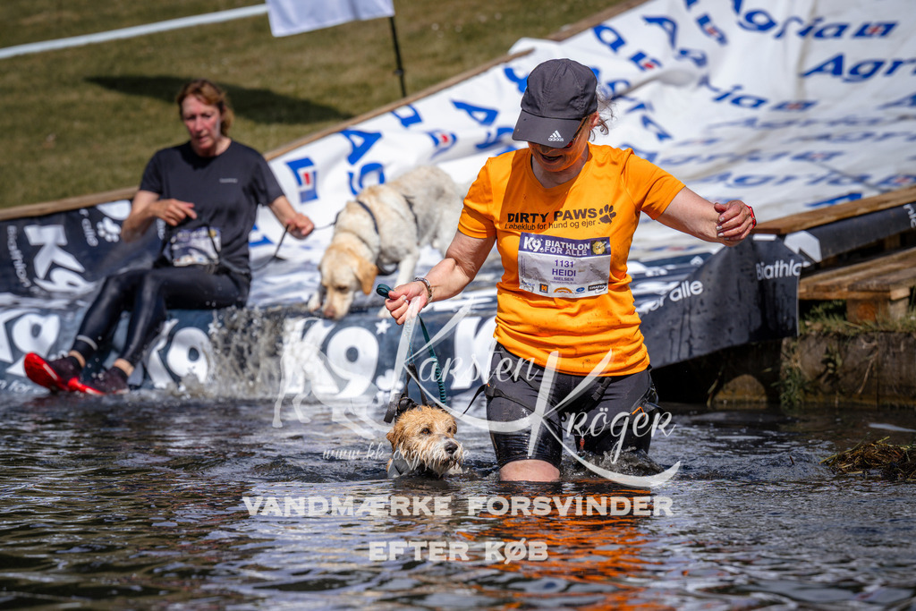 _ZZ924070926 | kk-dogfotos