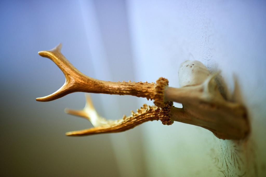 Atelier GoldRichtig | Wien, Austria - July 02, 2018: Atelier GoldRichtig; kleines vergoldetes Geweih an der Wand hängend. - Realisiert mit Pictrs.com