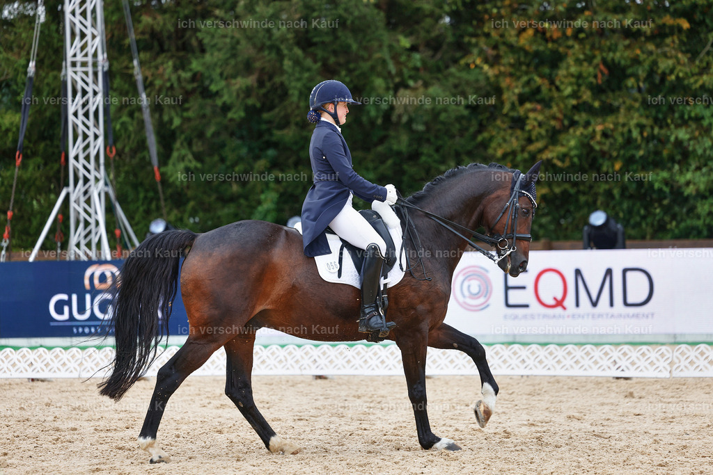 8_2-056-DRESSUR S_  -StoibPH-4422 | working equitationturnier fotograf videograf stoibphotography marixx film working equitation deutschland reitsport turnierfotografie eventfotografie equestrian events
