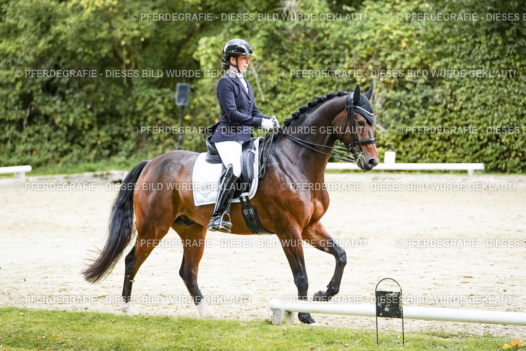 DSC06361 | Pferdegrafie