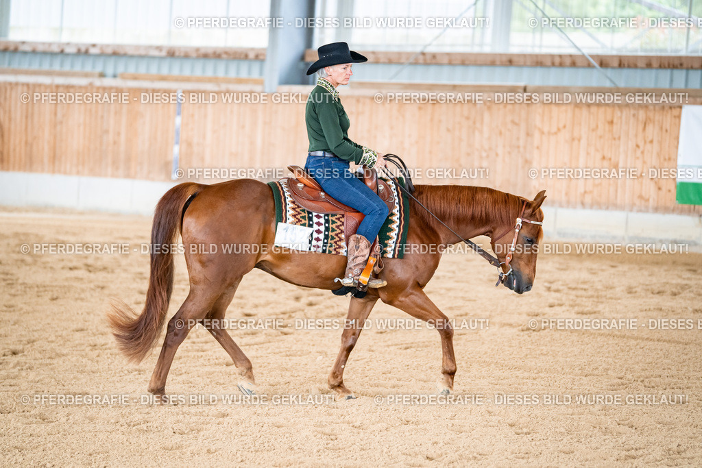 DSC02280 | Pferdegrafie