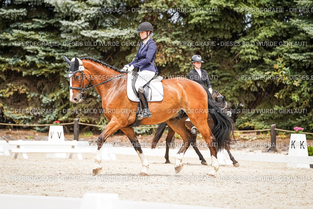 DSC04062 | Pferdegrafie