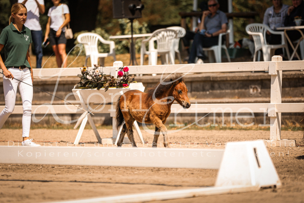 01.DoKR00030 | Leoni Ertmer Photography - Realisiert mit Pictrs.com