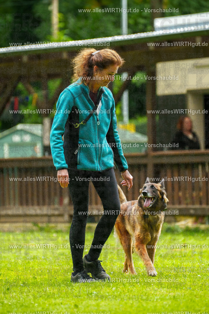 @allesWIRTHgut_Tierfotografie - www.allesWIRTHgut.de - 102143-7R508401 | Professionelle Tierfotografie in Mönchengladbach von Daniel Wirth (allesWIRTHgut). Liebevolle & natürliche Bilder von Hunden & Katzen für unvergessliche Erinnerungen.