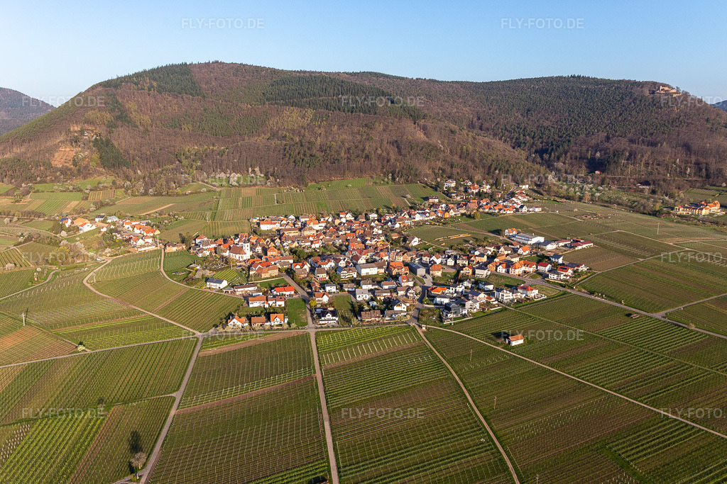 Luftbild: Dorfkern am Rande von Weinbergen und Winzer- Gütern im Weinbaugebiet in Weyher in der Pfalz im Bundesland Rheinland-Pfalz in Deutschland. Foto: IMG_126296.jpg vom 04.04.2021 durch Werner Riehm/FLY-FOTO.de