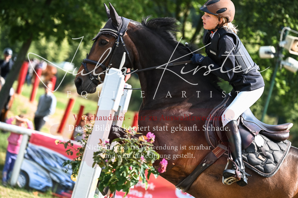 DSC_7987 | Pferde- und Turnierfotografie in Westsachsen. Pferdeportraits, Auftragszeichnungen und intuitive Kunst.