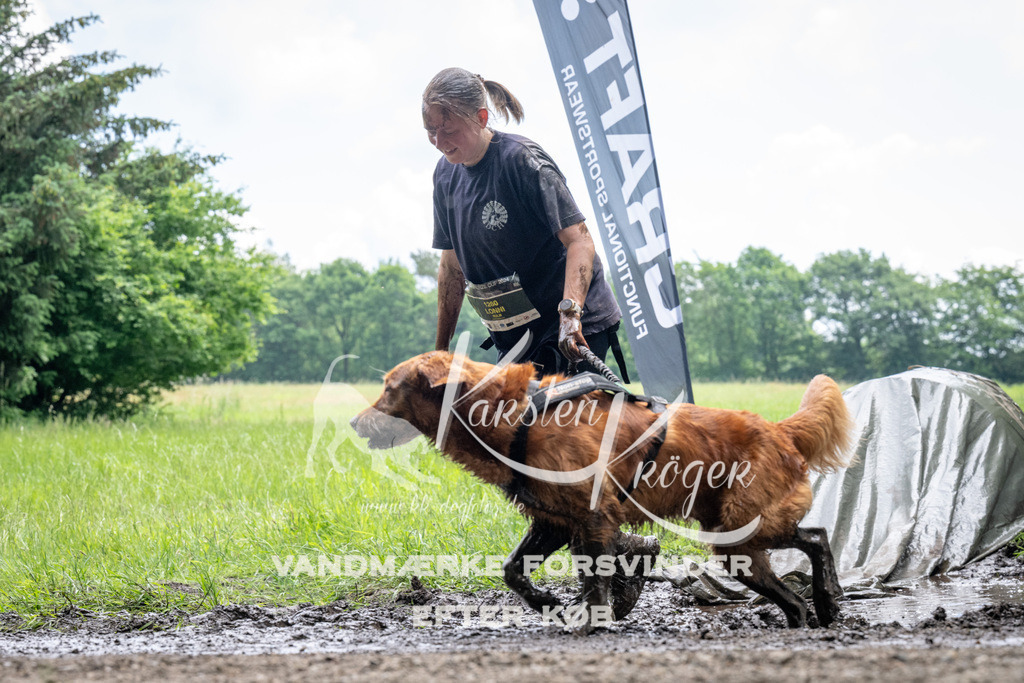1116_ZZ92361 | kk-dogfotos