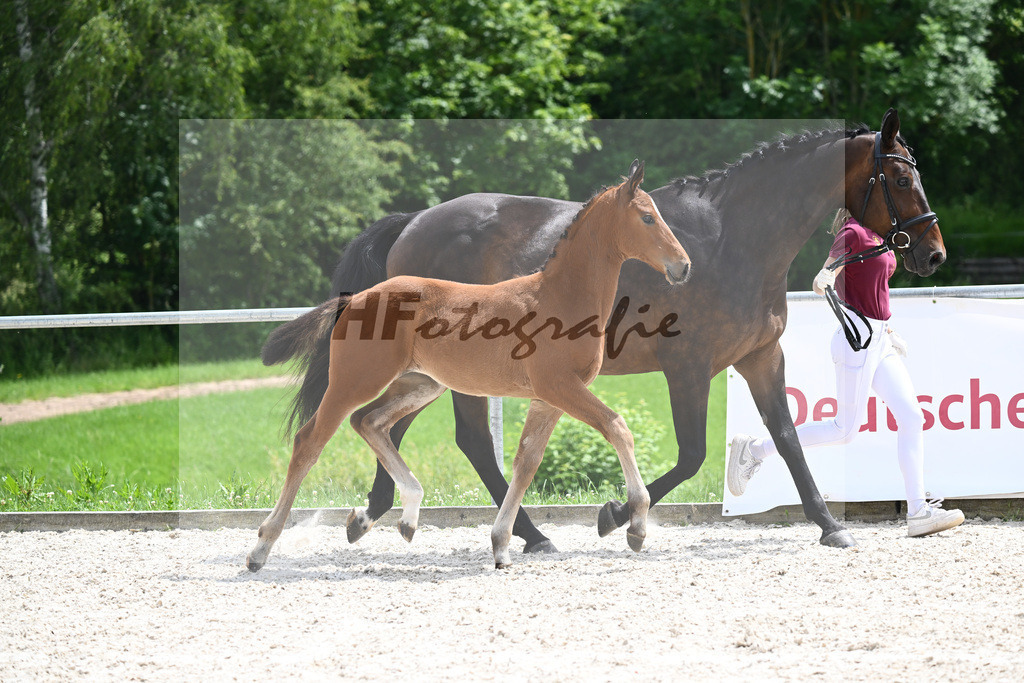 Viva Vitalis x Locksley III_SF_Ochs_20240468 | hf-fotografie - Realizzato con Pictrs.com