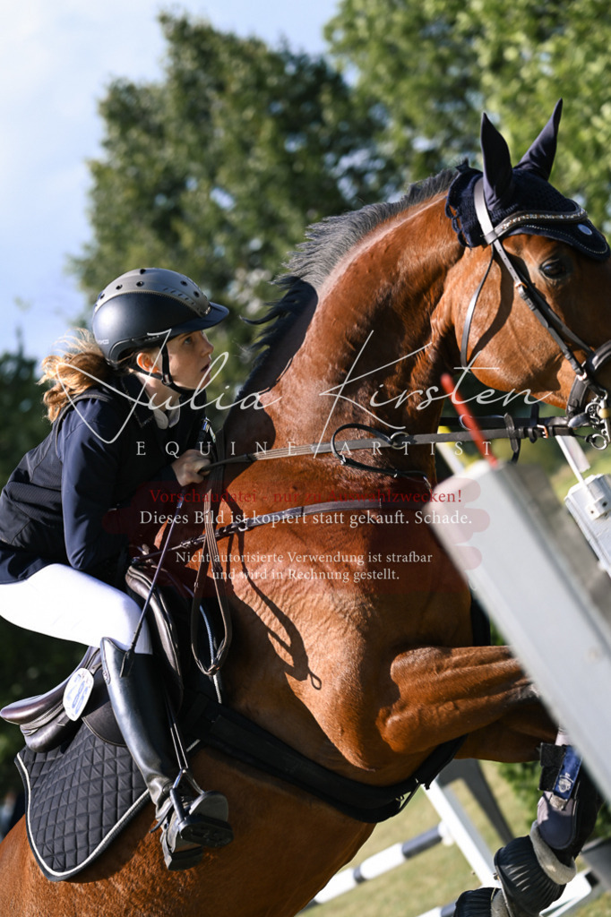 DSC_1335 | Pferde- und Turnierfotografie in Westsachsen. Pferdeportraits, Auftragszeichnungen und intuitive Kunst.