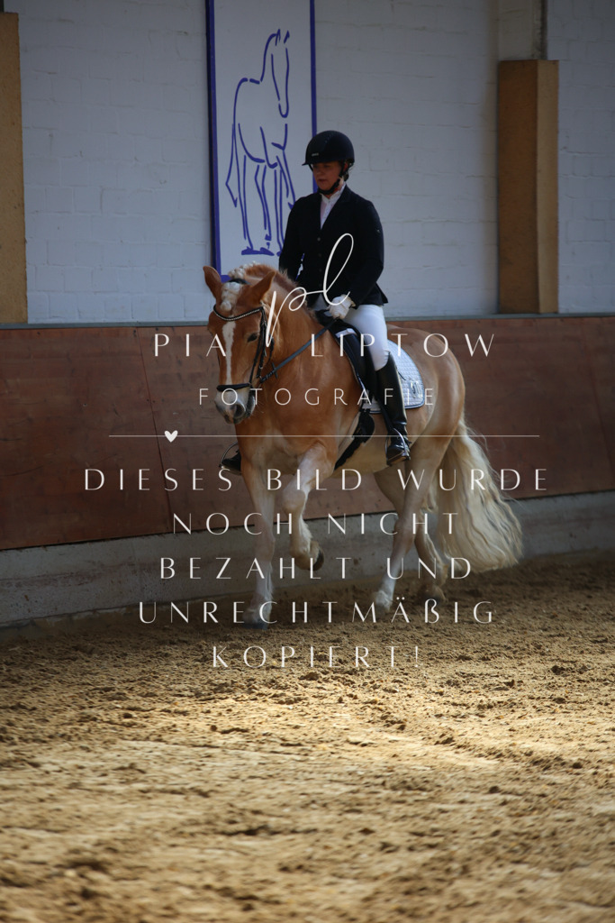 IMGT6265 | pl-fotografie