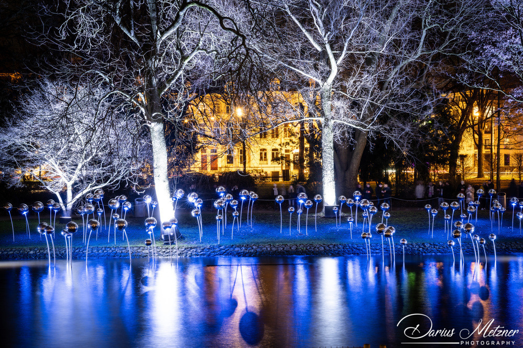 _DSC4410 | Fotografien, Fotos und Bilder aus Mainz, Frankfurt, Wiesbaden und anderen Orten auf der Welt - Fotografiert von Darius Metzner