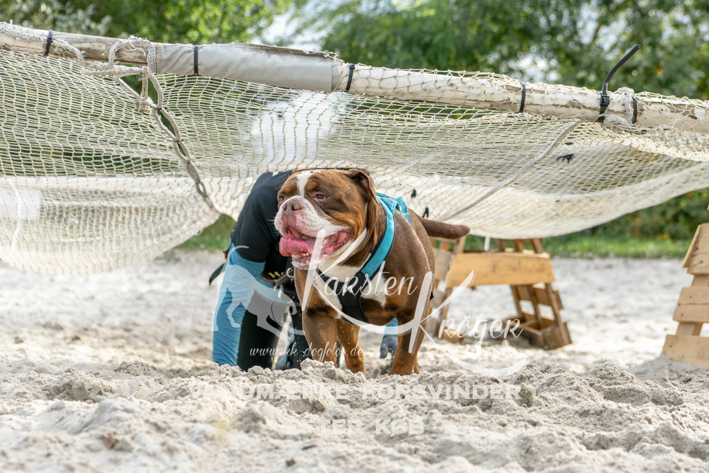 1505_ZZ92968 | kk-dogfotos