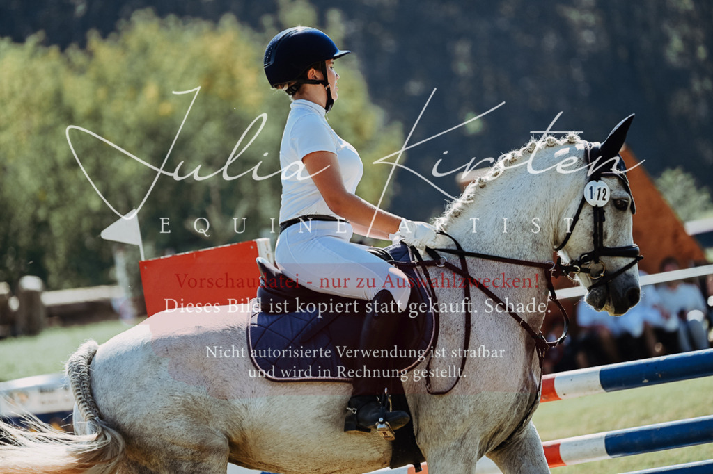 DSC_6102 | Pferde- und Turnierfotografie in Westsachsen. Pferdeportraits, Auftragszeichnungen und intuitive Kunst.
