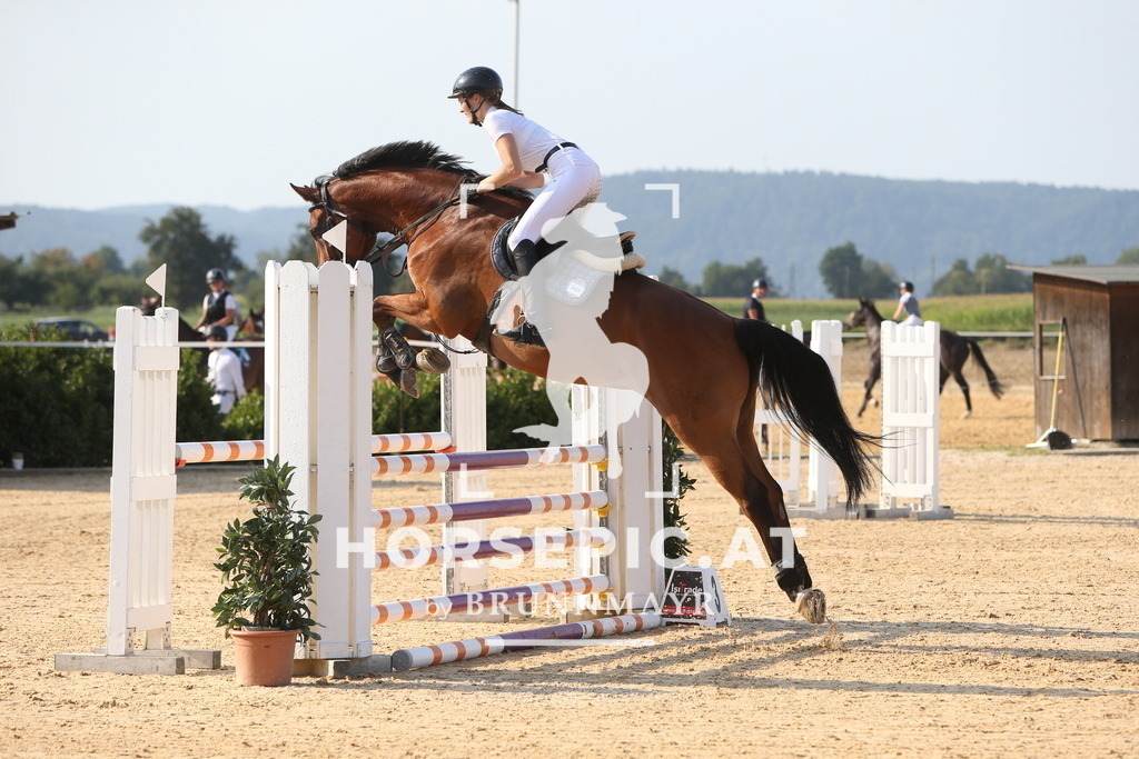 DL2Q2166 | Willkommen bei Brunnmayr - Design & Fotografie – Ihrem Spezialisten für Reitturniere und Pferdeveranstaltungen in Oberösterreich, Salzburg und Bayern! Seit über 17 Jahren sind wir leidenschaftlich dabei.