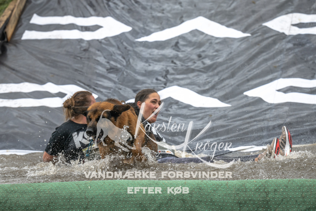 1346_ZZ93222 | kk-dogfotos