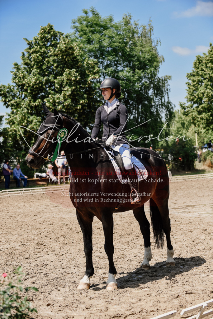 DSC_2060 | Pferde- und Turnierfotografie in Westsachsen. Pferdeportraits, Auftragszeichnungen und intuitive Kunst.