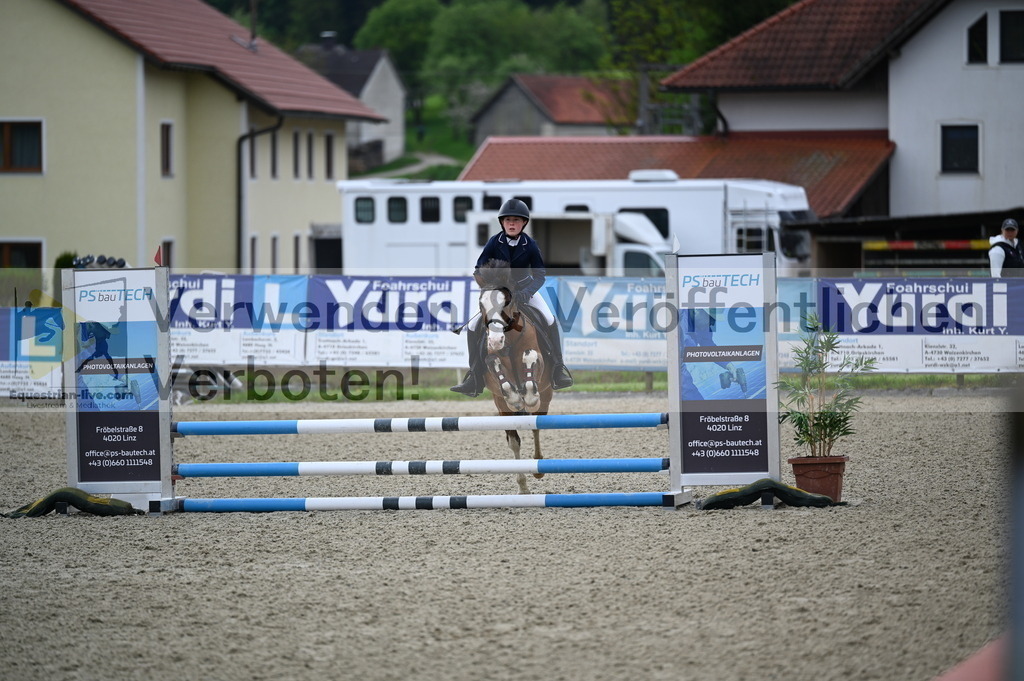 DSC_0349 | equestrian-live-com