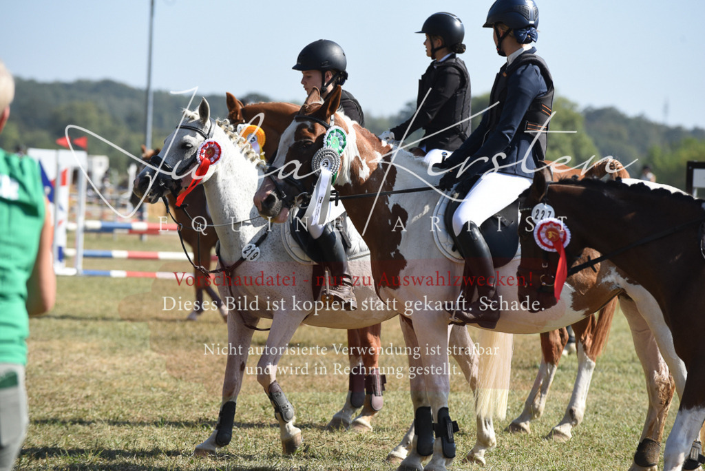 DSC_6200 | Pferde- und Turnierfotografie in Westsachsen. Pferdeportraits, Auftragszeichnungen und intuitive Kunst.