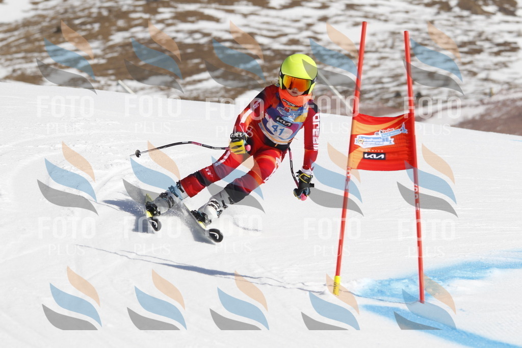 _U3G9248 | holidayphoto