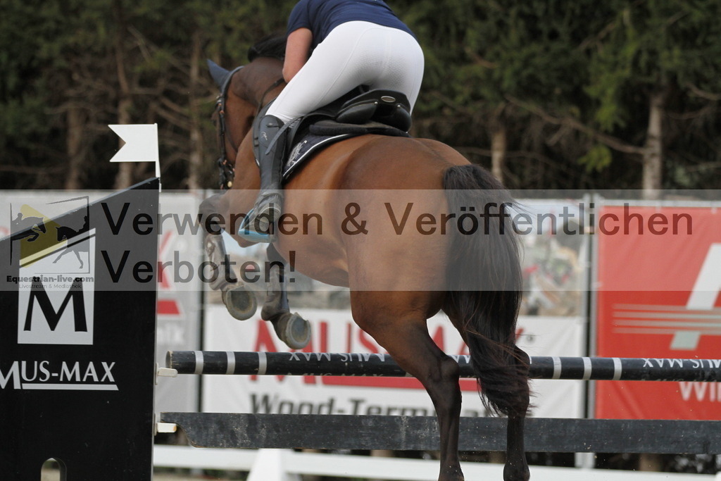 _MG_0496 | equestrian-live-com