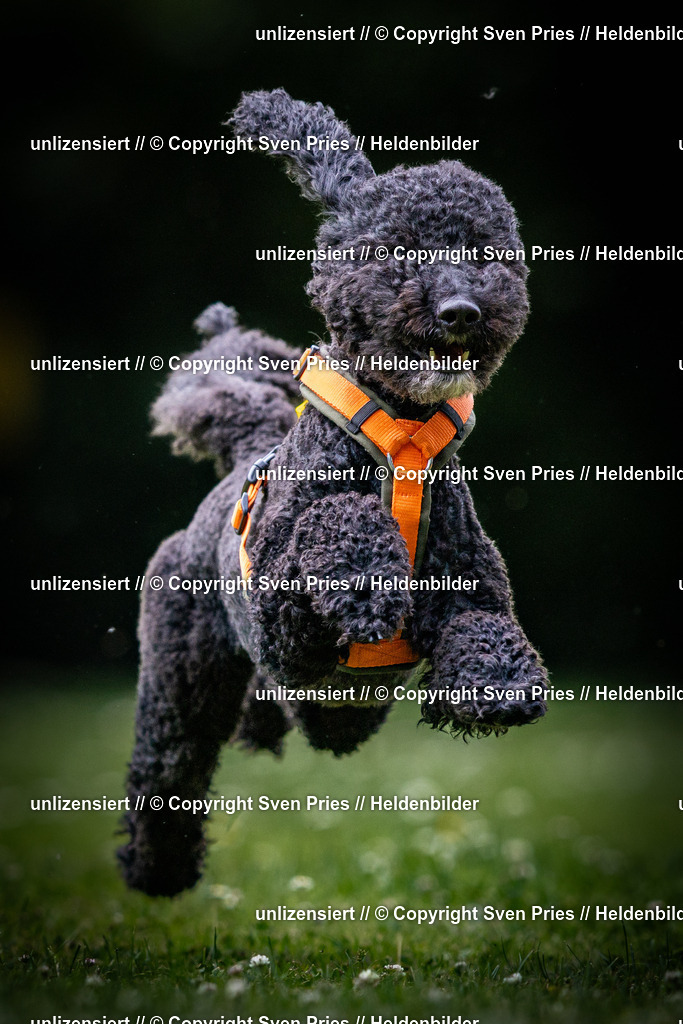 Sven Pries | 2025-05-29 - Pudelrennen KA-Durlach - Realisiert mit Pictrs.com