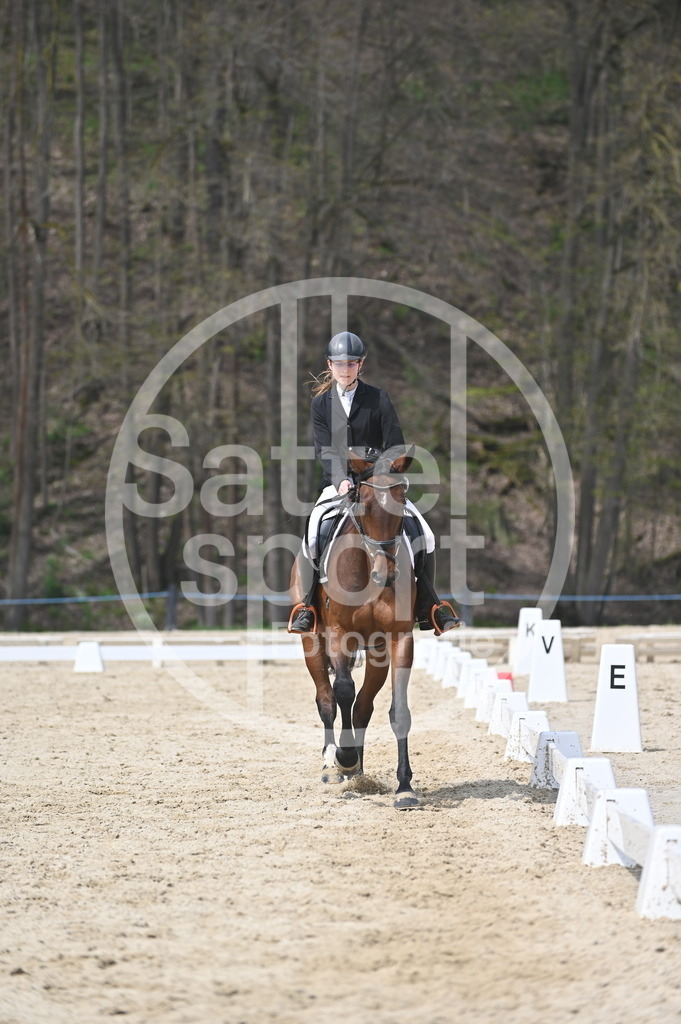 DSC_3416 | sattelsport - Realisiert mit Pictrs.com