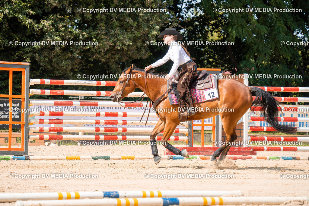 ZH100243 | dv-media-shop - Realisiert mit Pictrs.com