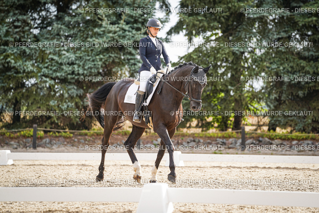 DSC00946 | Pferdegrafie